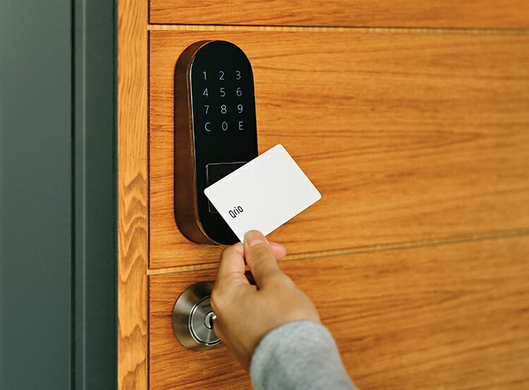 楽天市場】【安心の正規販売代理店】キュリオロック 新色ブラウン +