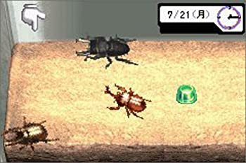 楽天市場】【中古】 みんなの飼育シリーズ3 ぼくのカブト クワガタ