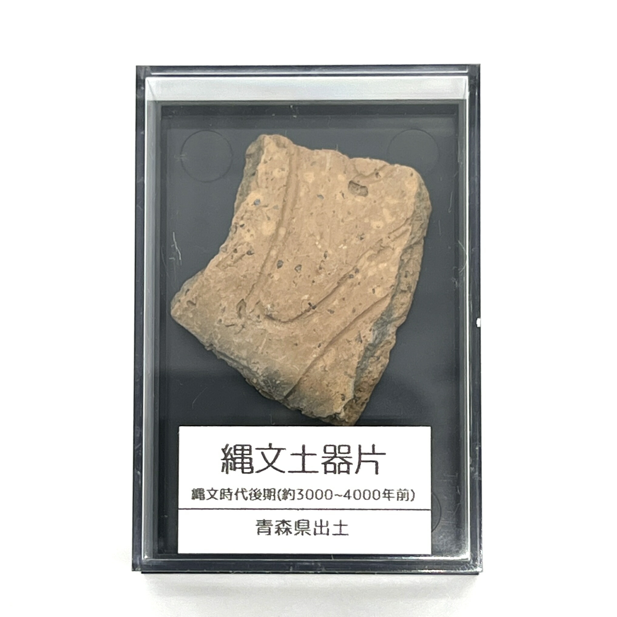 楽天市場】【送料無料】つくしサイエンス 縄文土器 破片 本物 青森産