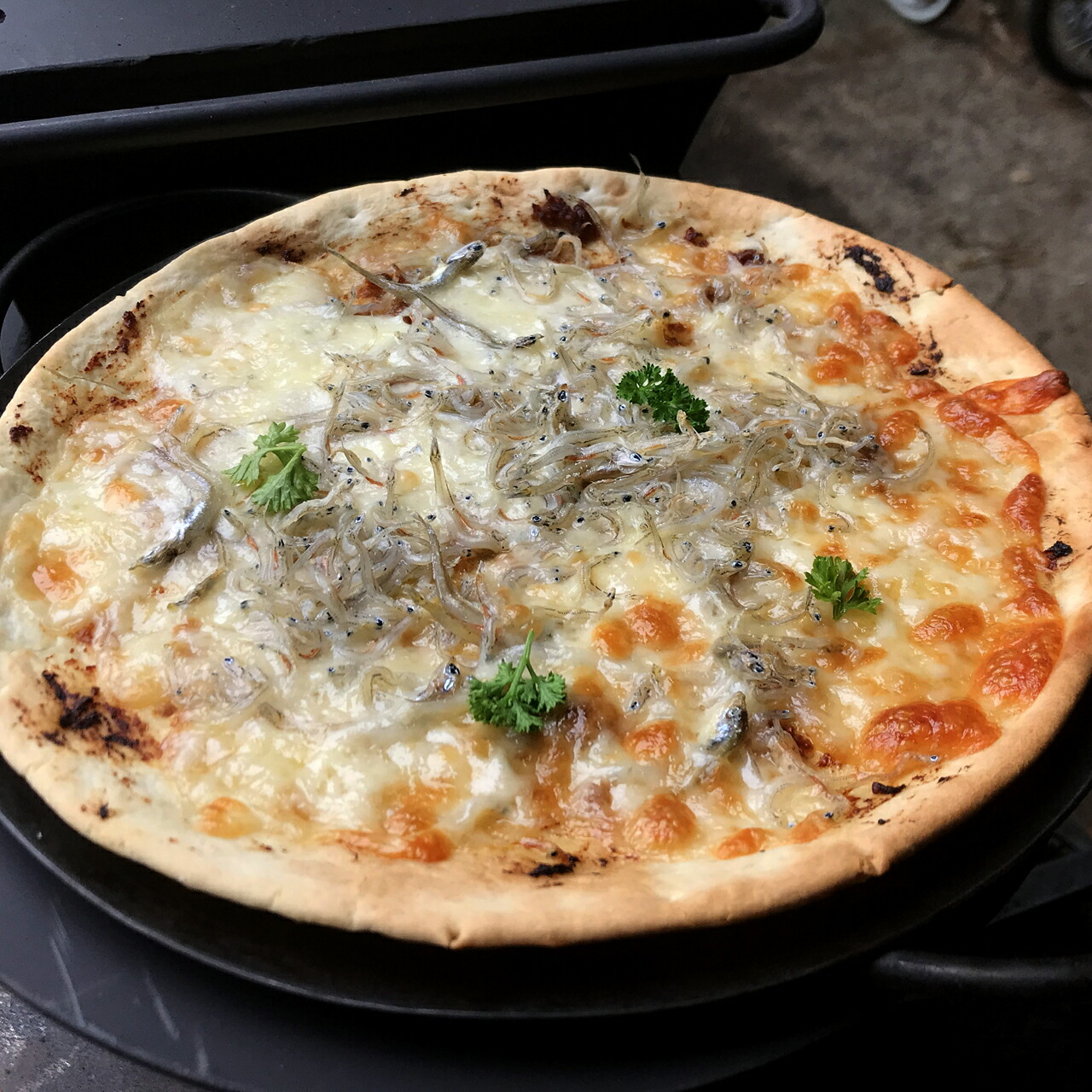 楽天市場】【閉店SALE 15％OFF 在庫限り】ツヨニーオーブン 天火