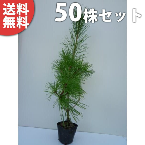 ta-1050-50set.jpg?fitin=357:357