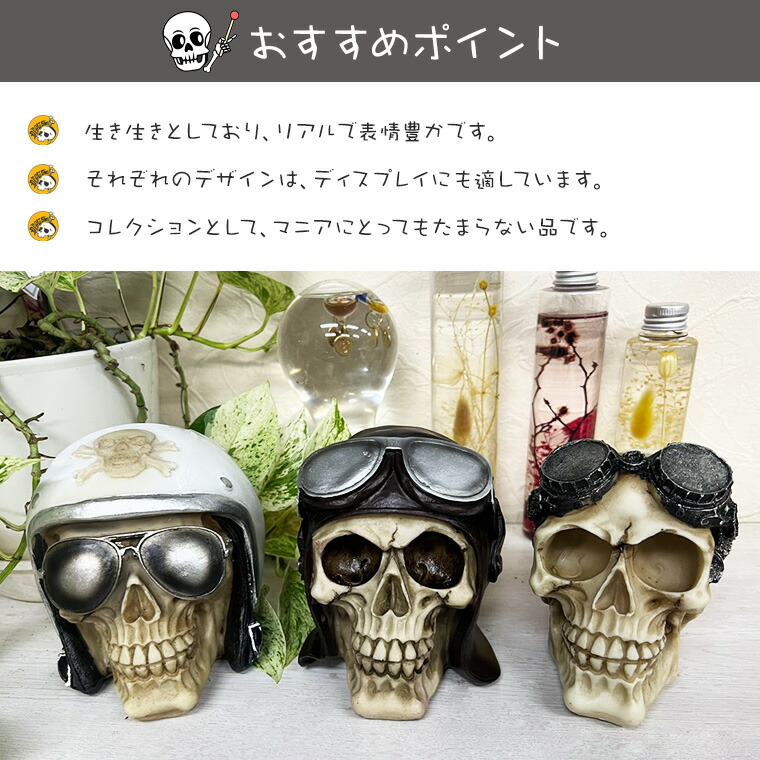 楽天市場】スカル ドクロ 置物 ガイコツ 海賊 ハロウィン 骸骨 髑髏