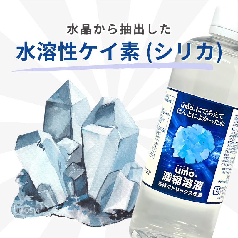 楽天市場】umo濃縮溶液 500ml シリカ水 が作れる 水溶性ケイ素 水 正規
