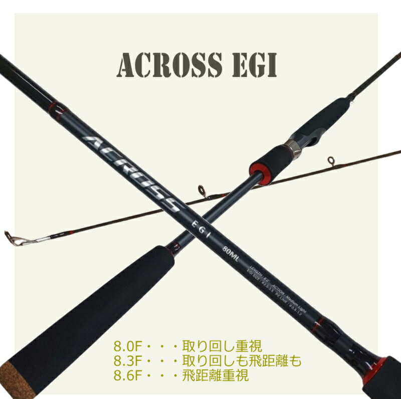 楽天市場】エギング 入門 フルセット ケイムラエギ10本 餌木 軽量で