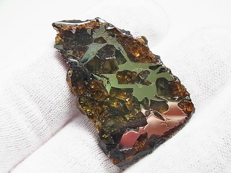 楽天市場】セイムチャン隕石 (SEYMCHAN) パラサイト 隕石【ロシア産