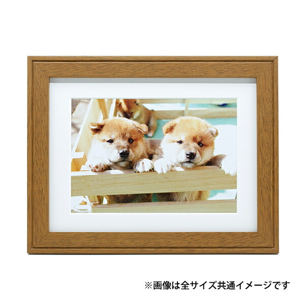 FUJIFILM写真展示用フレーム 全紙2 全紙3枚組2 半切2 4切 全紙