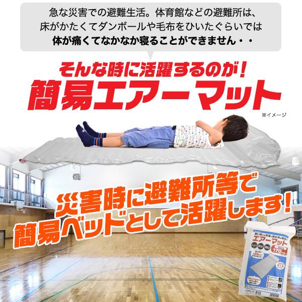 楽天市場】2個セット 簡易 エアーマット 簡易ベッド 170cm