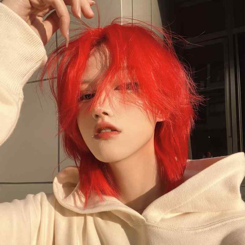 舞台用 かつら」の人気商品一覧 | 安い商品を通販サイトから探す