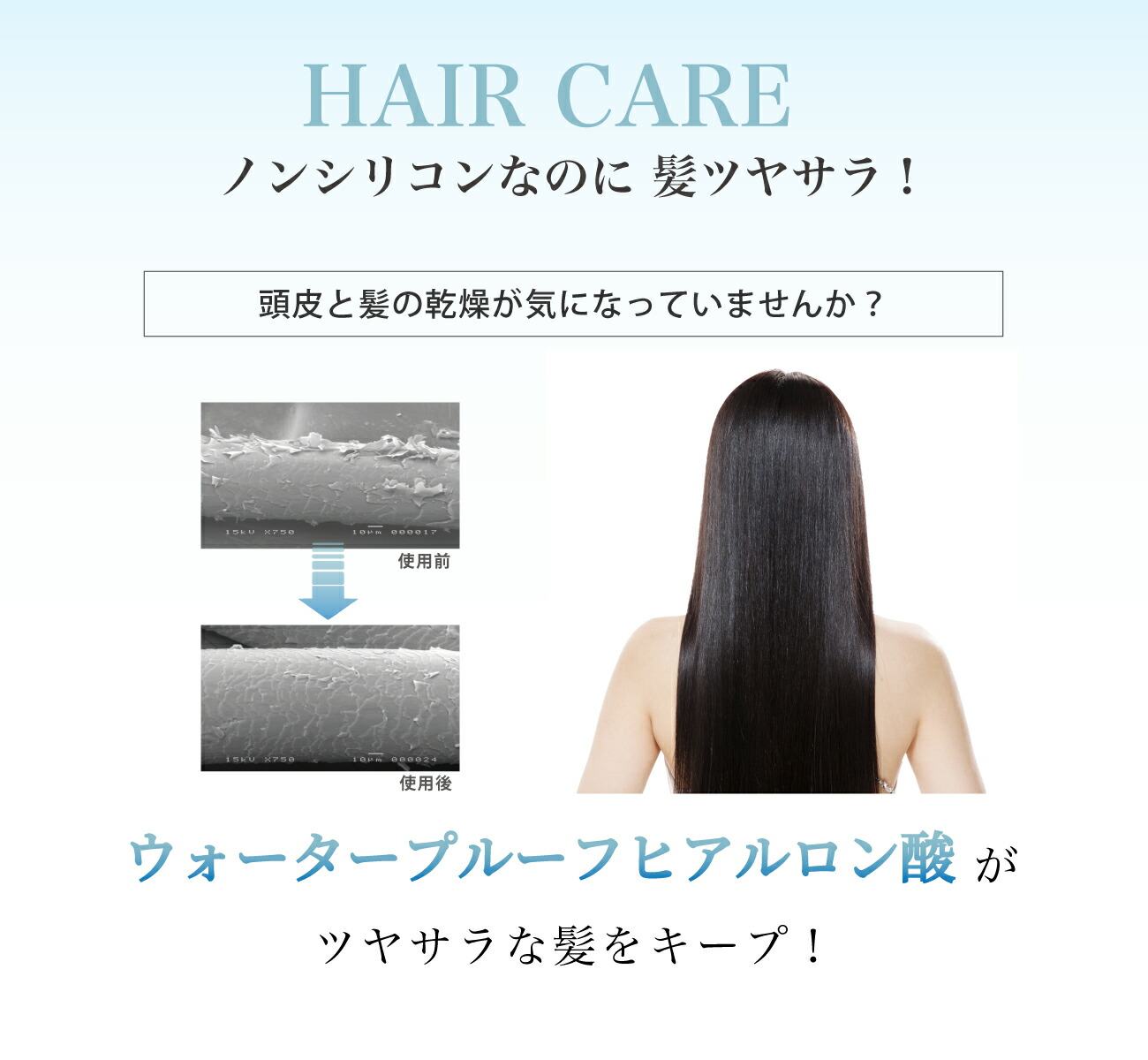 楽天市場】ピンククロス アロマシャンプー&トリートメントセット