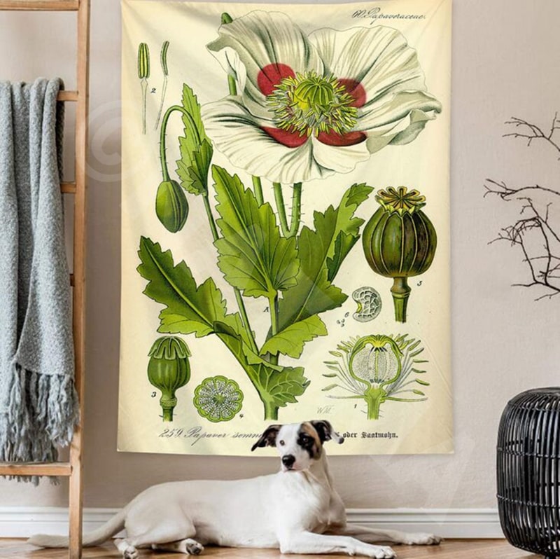 楽天市場】タペストリー 大判 大きい 目隠し 植物 タペストリー