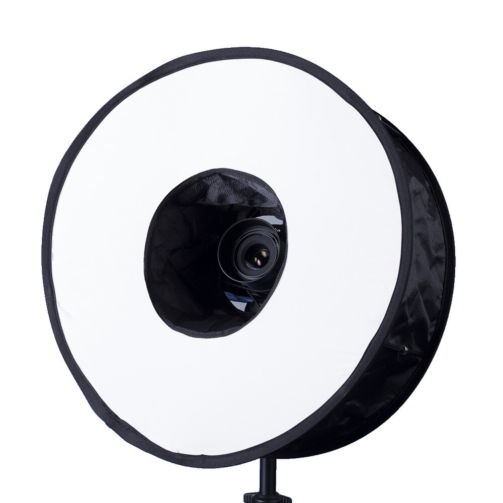 楽天市場】【訳あり】TOKISTAR(トキスター) TS-2001-SB キャッチライト