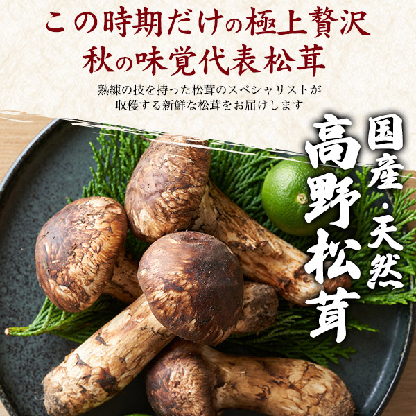 楽天市場】送料無料【 希少 天然国産 高野松茸 種類おまかせ 約200g