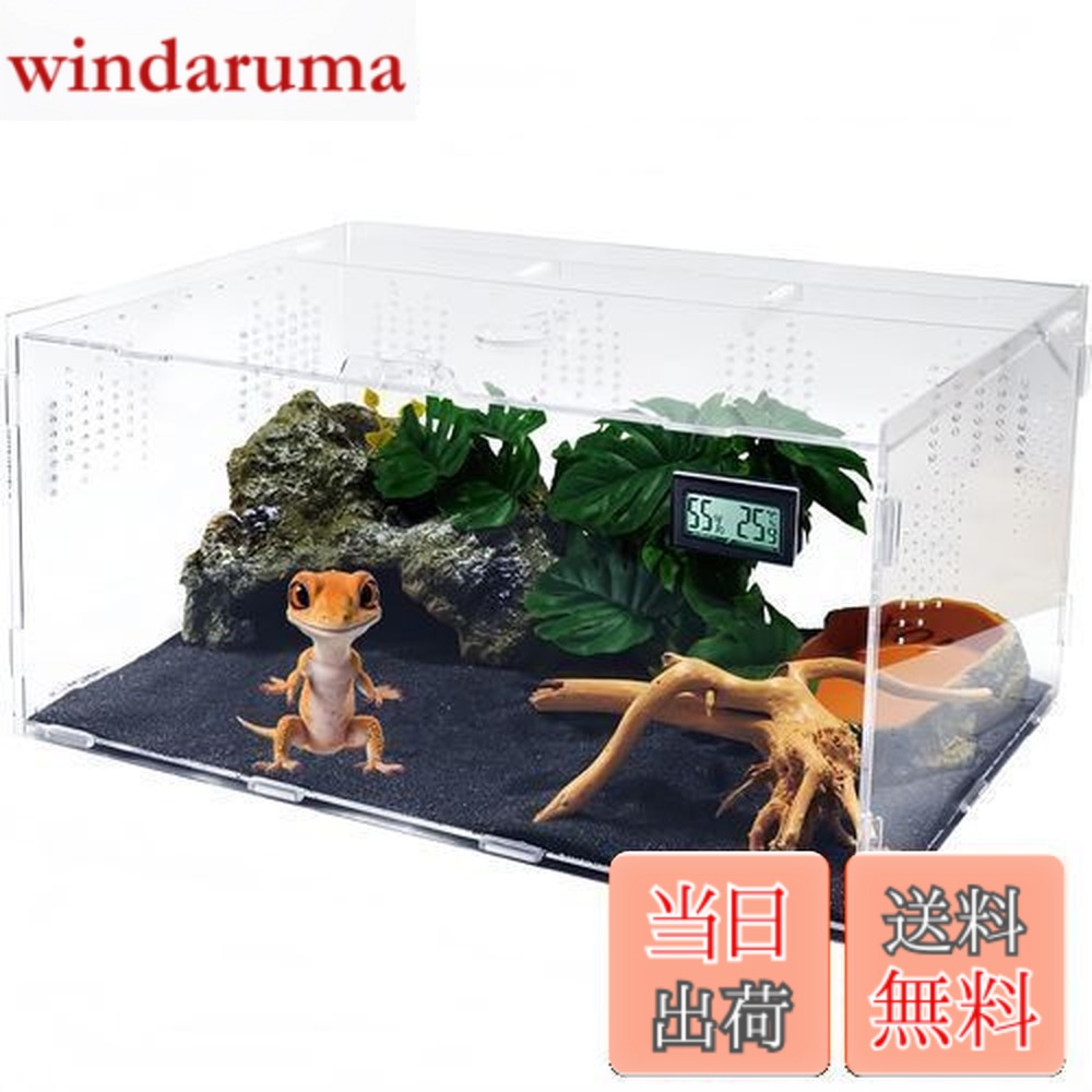 楽天市場】【送料無料】Niesporek 爬虫類 トカゲ ケージ カナヘビ飼育