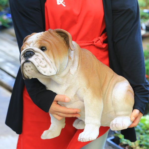 楽天市場】雑貨 置物・フィギュア：ブルドック*リアルサイズ : 遊恵