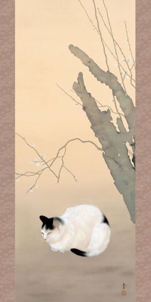 楽天市場】掛軸 掛け軸 猫梅 菱田春草 尺五立 約横54.5cm×縦190cm