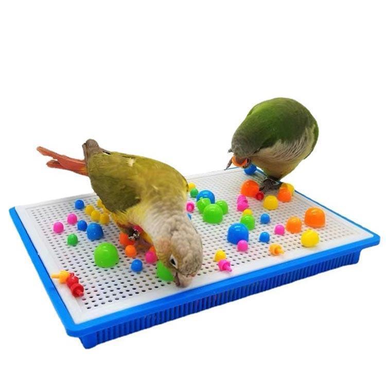 楽天市場】小鳥のおもちゃセット 鳥のおもちゃ 鳥用玩具 プラスチック
