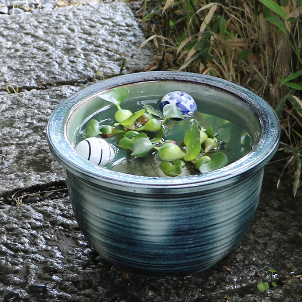 楽天市場】水がめの通販