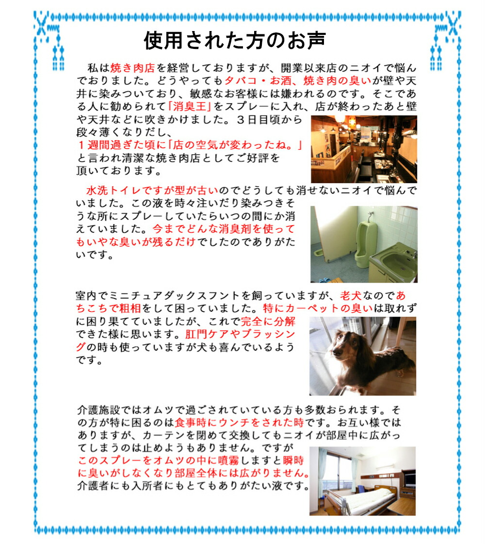 楽天市場】消臭 除菌 無香料 無臭 消臭王GT-S 液体 無臭 500ml 嫌な