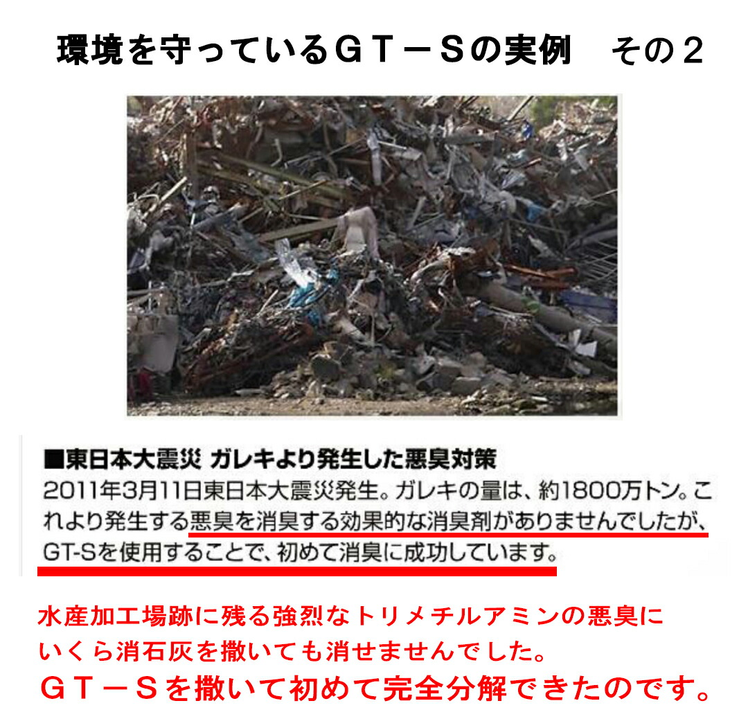 楽天市場】消臭 除菌 無香料 無臭 消臭王GT-S 液体 無臭 500ml 嫌な