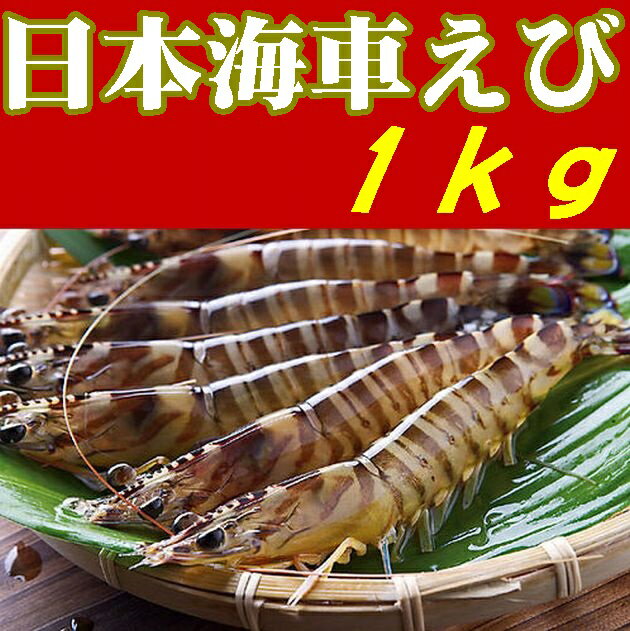 楽天市場】【送料無料】【日本海車えび】【山口県】【長門市油谷