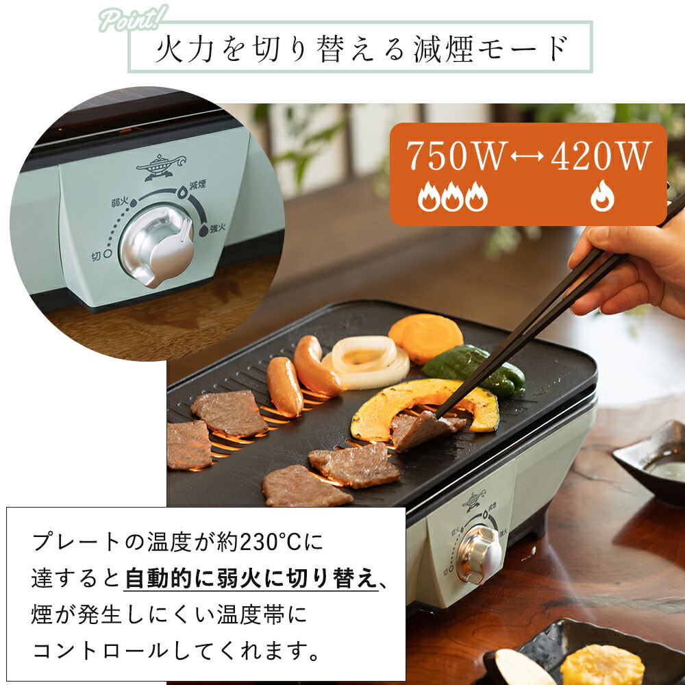 楽天市場】【365日出荷&豪華特典2個付き】アラジン グラファイト ミニ