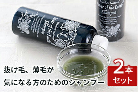 楽天市場】【2本セット】大地の力シャンプー 300ml（テンプル