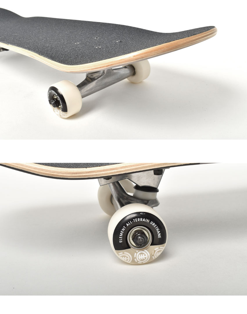 楽天市場】エレメント スケートボード メンズ レディース チーター