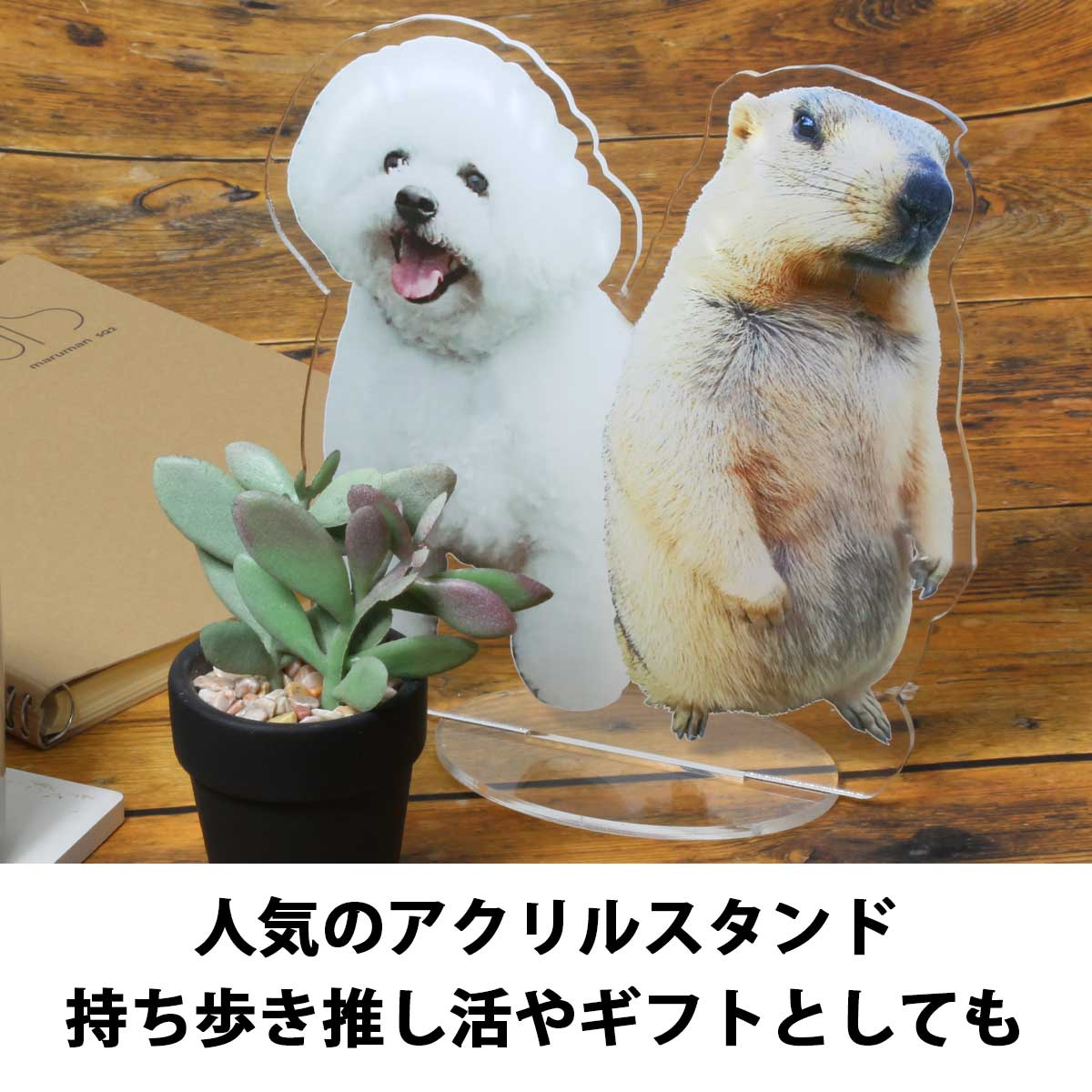 楽天市場】【即納可能】1枚から作れる 自分でデザイン アクリル