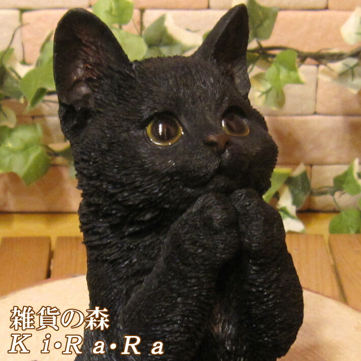 onegaicat-black011.jpg