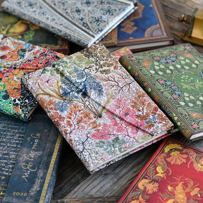 楽天市場】【SALE】手帳 2026 ペーパーブランクス ミディ見開き1週間