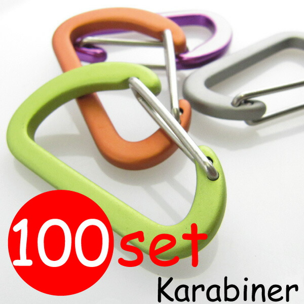 楽天市場】業者様用 【1色100個セット商品】 カラビナSサイズ D型
