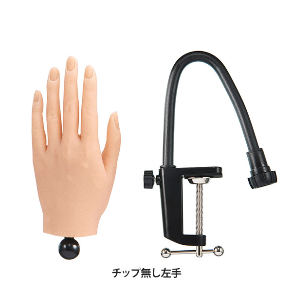 楽天市場】【在庫処分SALE】 ハンドモデル マネキン 右手 左手 練習用