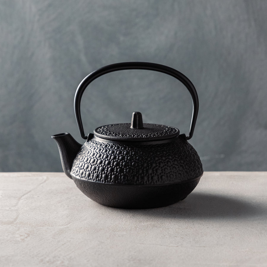 ガラス専門店｜南部鉄器｜岩鋳｜鉄瓶兼用急須 5型新亀甲 – TSUCHI-YA