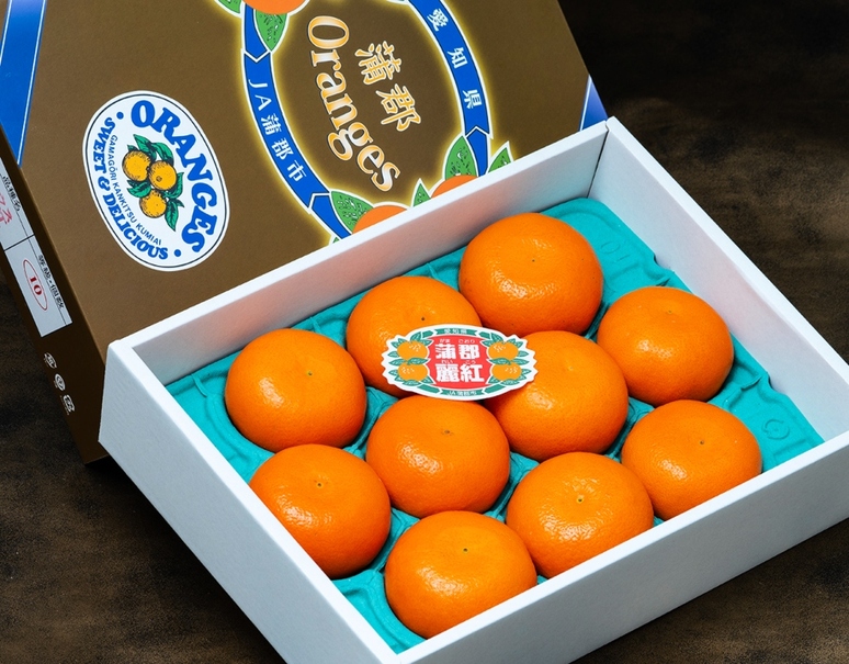 JA蒲郡市「ハウス麗紅」愛知県産 柑橘 秀 2〜4L 約3kg（8〜12玉）化粧