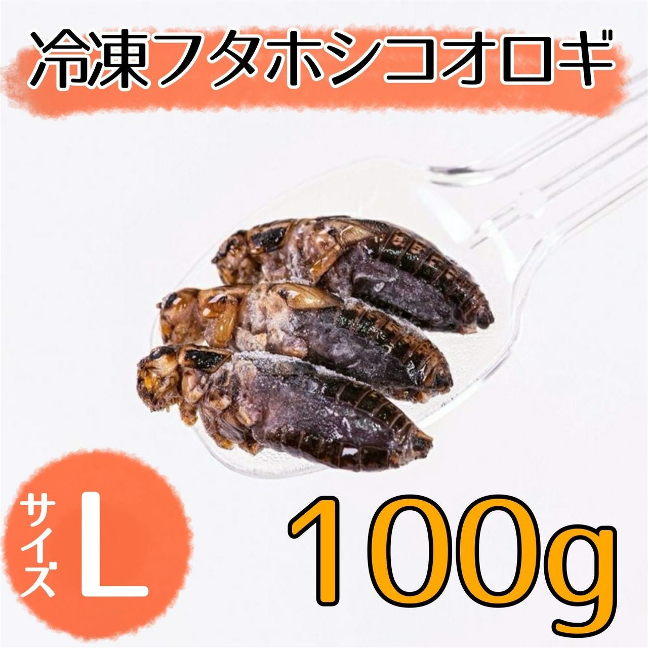 NEW【冷凍餌】フタホシコオロギ L 100g | 月夜野ファームの通販