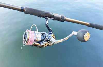 19 セルテート LT5000D-XHのスペックとインプレ | 釣りクラウド