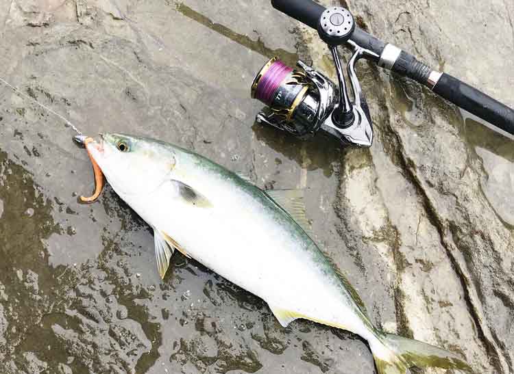 20 ツインパワー C5000XGのスペックとインプレ | 釣りクラウド