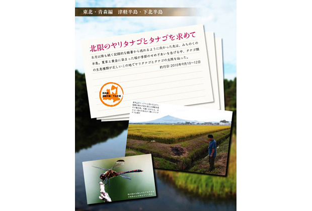 日本タナゴ釣り紀行 2