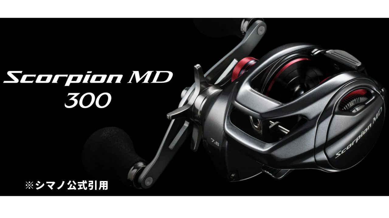 新製品】24スコーピオンMD 300徹底解説！ビッグベイト＆怪魚を制す