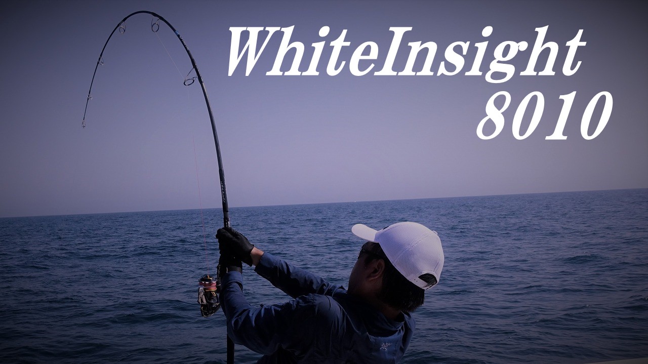 WhiteInsight 8010 | TRUTH JAPAN