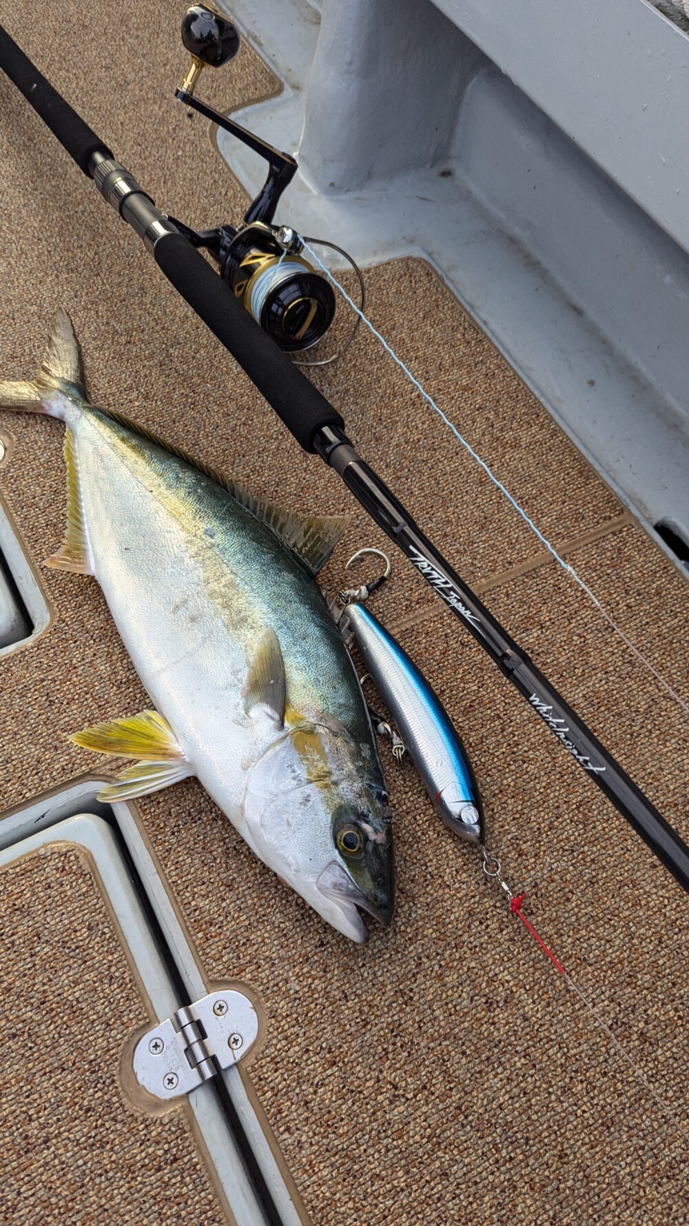 日本海 ヒラマサキャスティング (WhiteInsight828) | TRUTH JAPAN