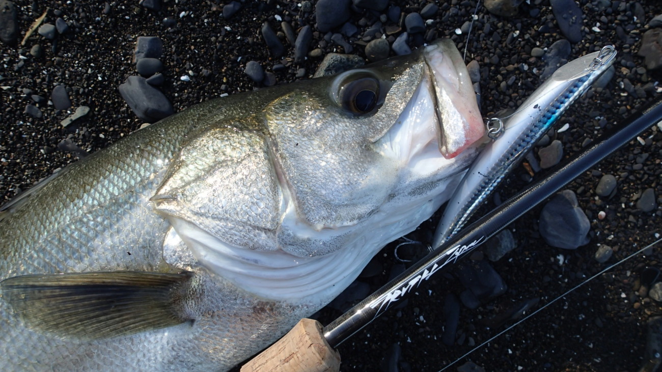 Permission 89SM (SeaBass Spinning Model) | TRUTH JAPAN