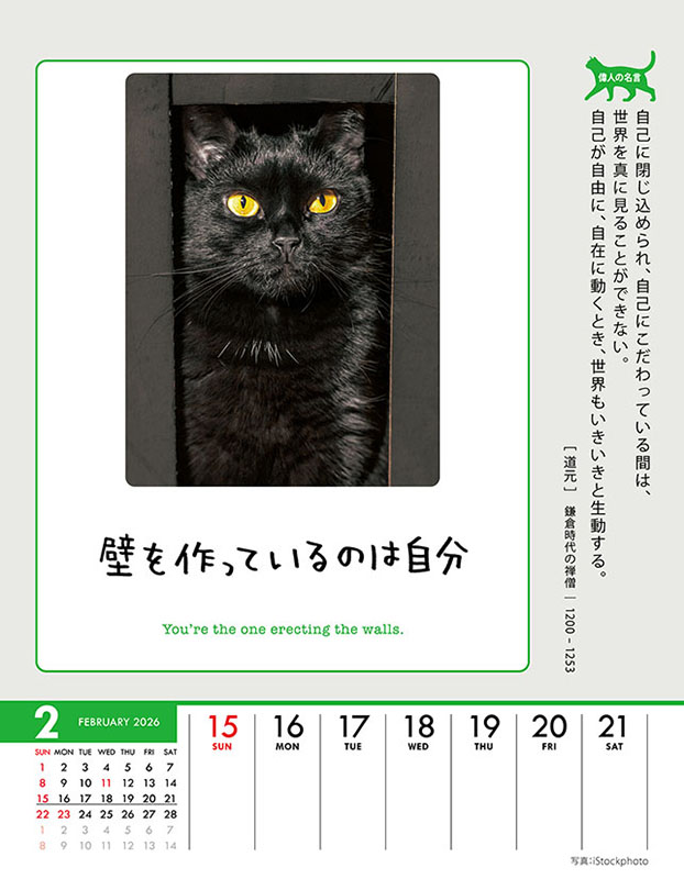 トライエックス / 人生はニャンとかなる！ 卓上/壁掛 2026年カレンダー