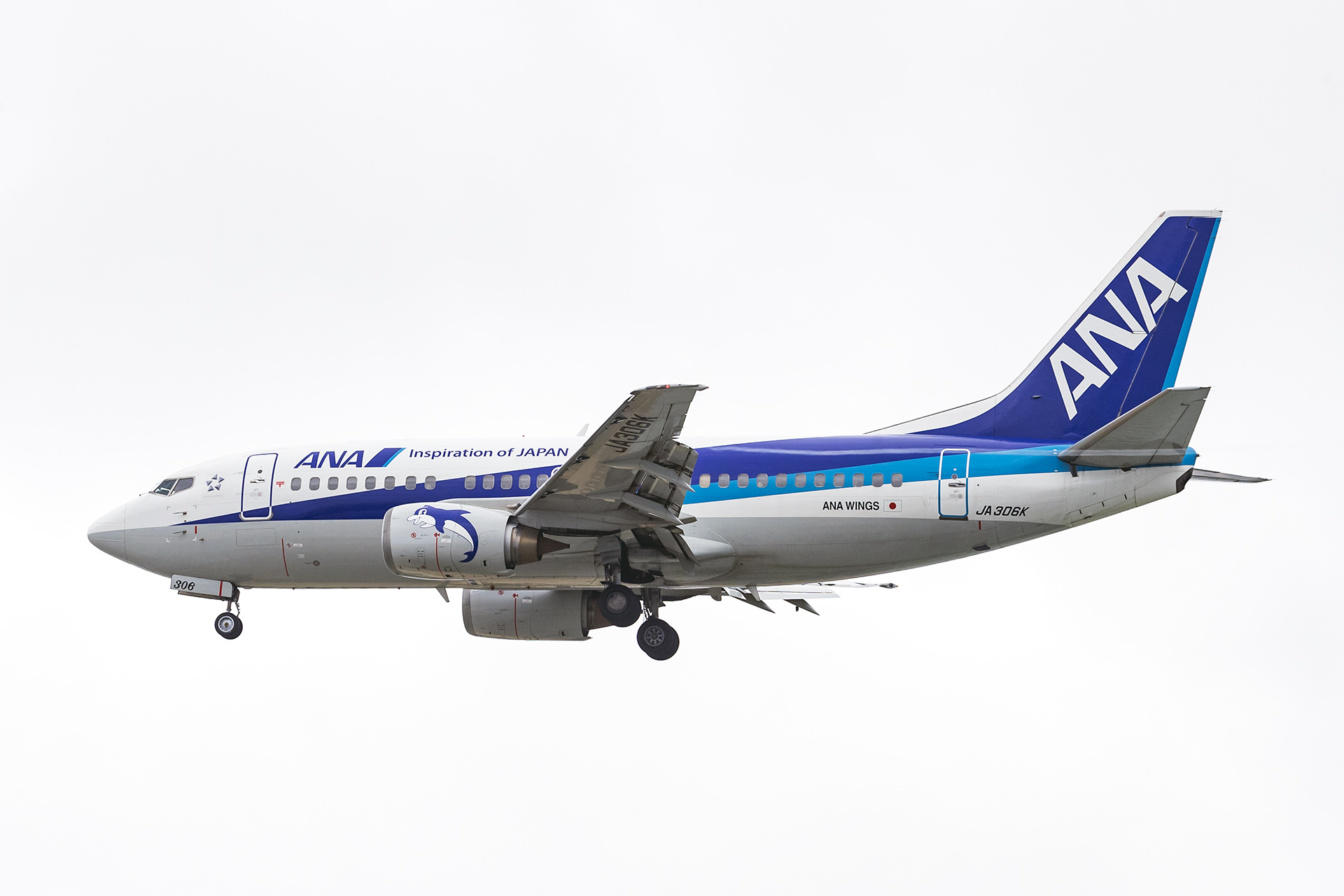 ANA、737-500“スーパードルフィン”退役に向けて残る3機に記念デカール