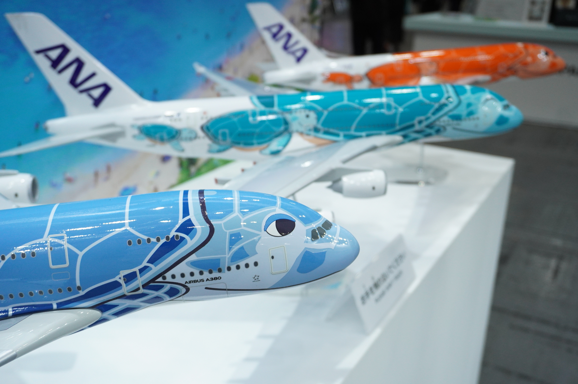 ANA、エアバス A380型機「FLYING HONU」や世界に1機の「イーブイ
