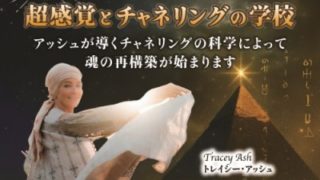 Tracey Ash – トレイシーアッシュ┃日本語サイト | Tracey Japan