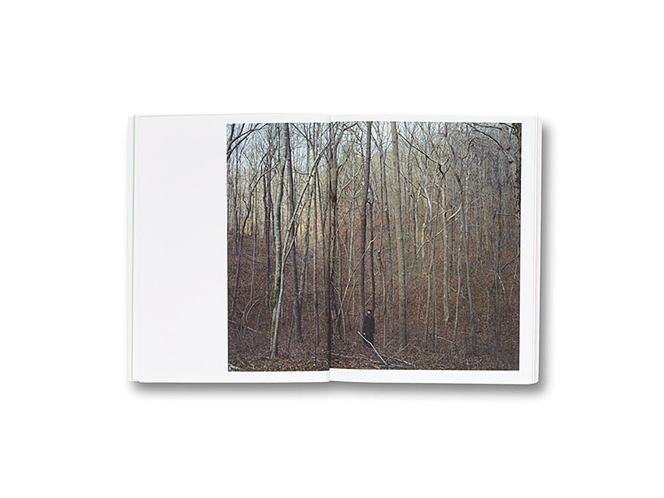 GATHERED LEAVES by Alec Soth – twelvebooks