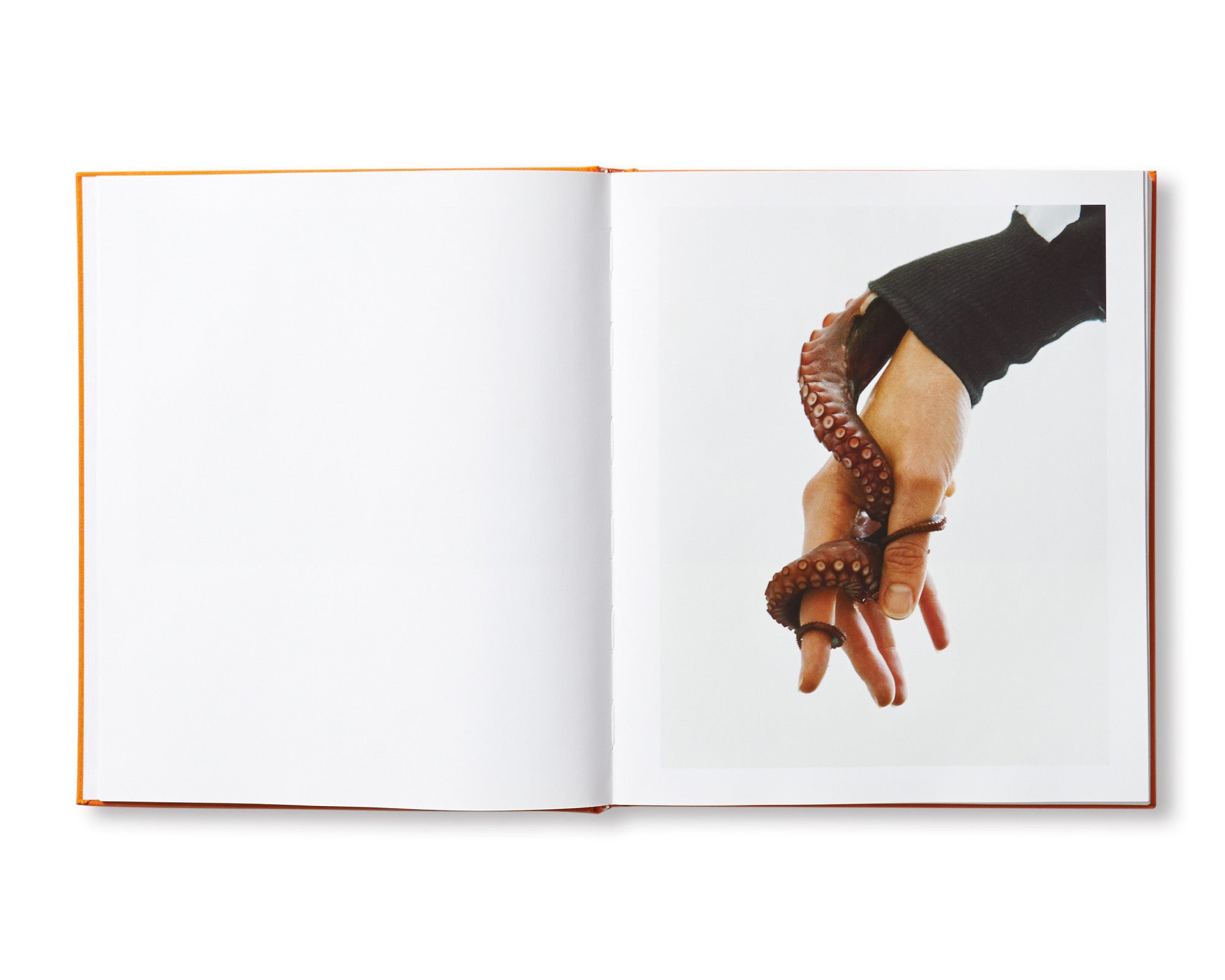 VANILLA PARTNER by Torbjørn Rødland – twelvebooks