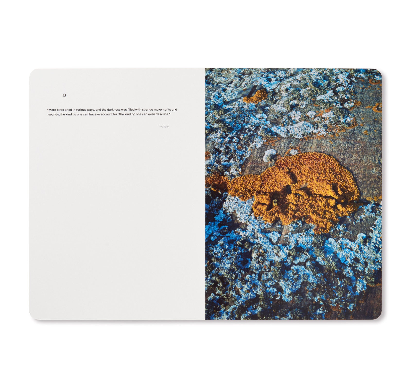 A SONG FOR WINDOWS by Takashi Homma – twelvebooks