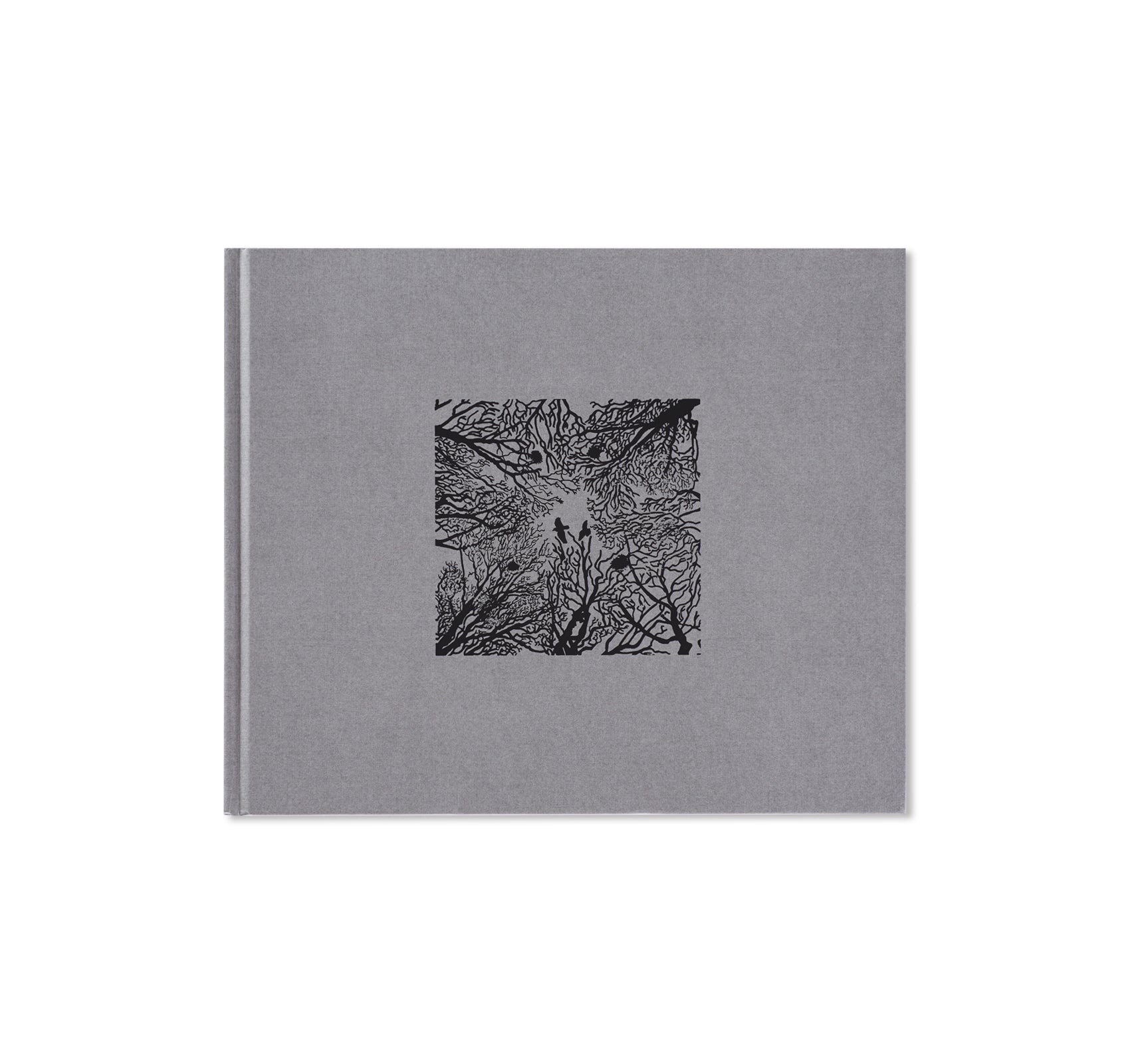 SETTLEMENTS by David Spero – twelvebooks